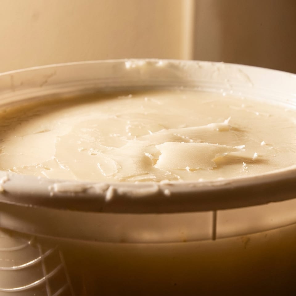 Large plastic tub filled with a pale creamy mixture, its scraped uneven surface illuminated by warm light.